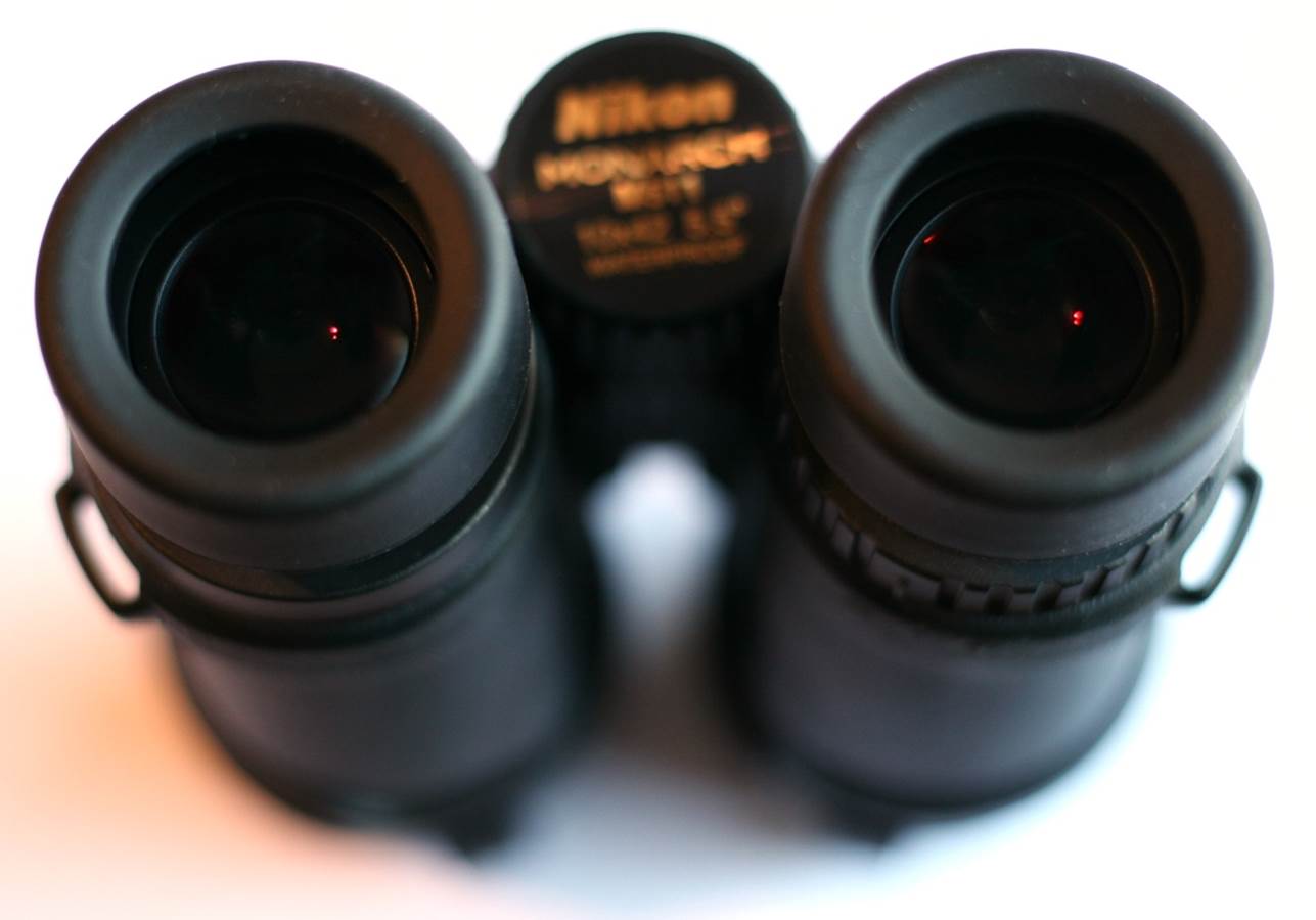 Nikon monarch best sale binoculars review