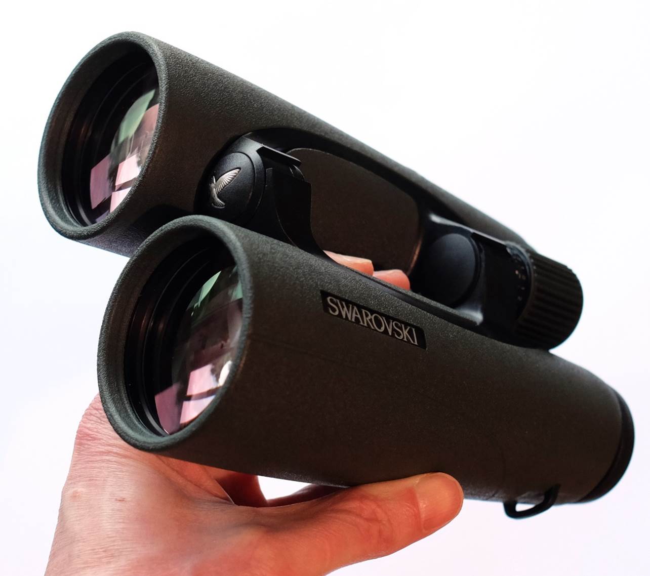 best 10x50 binoculars